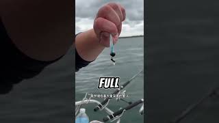 ⭕戶外釣魚：釣魚佬將魷魚墨汁塗抹在手上，結果把自己害慘了！ 海釣 戶外 魷魚 [upl. by Pizor]