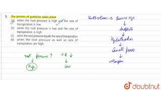 The process of guttation takes place [upl. by Iras]