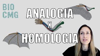 Analogia x Homologia  Você sabe a diferença [upl. by Ytiak]