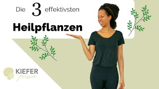 Die 3 wichtigsten HEILPFLANZEN für deine Gesundheit [upl. by Brightman]