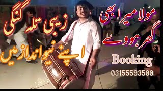 Moula Mera Ve Ghar  Zebi Dhol Master  Desi Dhol Beats  2019 [upl. by Leunamme]