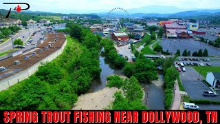 Spring Trout Fishing Near Dollywood [upl. by Sivehc]