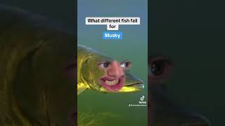 What different fish fall for catchingbass bassfishing bassfishingismylife fishing [upl. by Given]