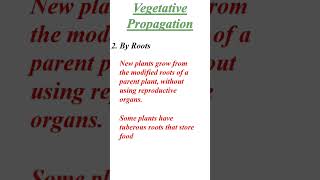 Reproduction in Plants  Vegetative Propagation by Roots  Smart Science reproductioninplants [upl. by Demitria697]