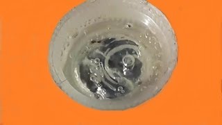 MERCURY reaction with NITRIC ACID [upl. by Einallem521]