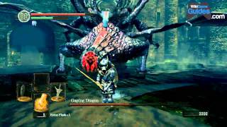 Dark Souls Walkthrough  Gaping Dragon Boss Fight Dragon King Greataxe Part 028  WikiGameGuides [upl. by Eelirrem842]