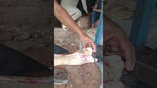 Pye cutting mutton beefcutter streetfood [upl. by Anilasor422]