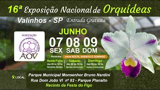 16ª Exposição Nacional de Orquídeas em Valinhos SP [upl. by Durkee]