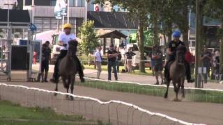 Guðmundur Einarsson P1 World record WC Icelandic Horses IslandpferdeWM VM Islandshästar 2015 [upl. by Hildick]