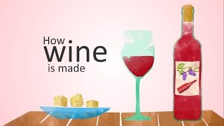 how wine is made animation [upl. by Idnahr924]