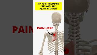 Fix Your Rhomboid Pain With This Quick Exercise [upl. by Baillie]