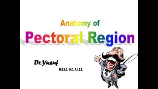 Anatomy of the Pectoral Region  Dr Yusuf [upl. by Akcirret845]