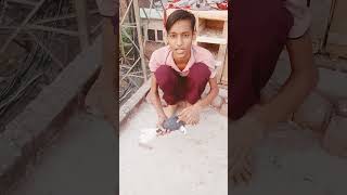 Viral shortHimanshu bhai ne kabutar Ko chhod Diyasabhi bhai like karochannel ko subscribe karo [upl. by Haissem]