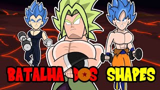 Dragon Ball Z Super Shape Broly [upl. by O'Malley146]