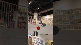 Indigo Book Store toronto [upl. by Saxela]