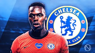 EDOUARD MENDY  Welcome to Chelsea  Crazy Saves amp Reflexes  2020 [upl. by Keeler]