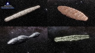 Descubren Cuatro Oumuamua Nuevos en el Sistema Solar [upl. by Nomzaj]