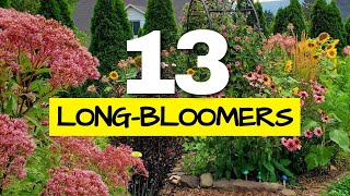 These are the Longest Blooming Perennials in my Garden I Tracked Them All Year [upl. by Eddina]