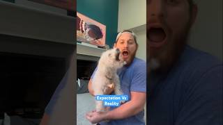 Dog Reactions to Chiropractor [upl. by Wake353]