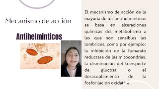 Fármacos Antiprotozoarios y Antihelminticos [upl. by Tiphany]