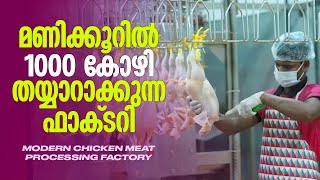 Modern Chicken Meat Processing Factory in Kerala  Inside the Chicken Factory [upl. by Cleveland]