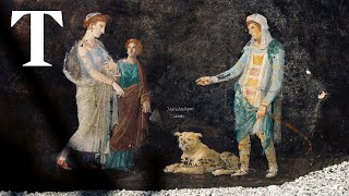 Stunning new frescoes unearthed in Pompeii [upl. by Ariaj739]