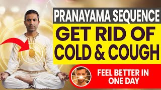 Top 4 Breathing Exercises to Reduce Cough and Cold in One Day  Pranayama Sequence [upl. by Haelem]