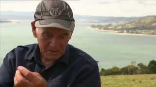 Marae went to Hokianga to find out where Ngapuhi is going [upl. by Casia]