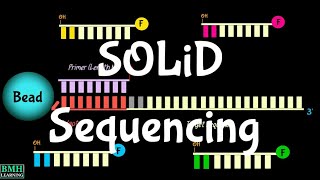 SOLiD Sequencing  Sequencing By Ligation  ABI 2 Base Encoding Sequencing [upl. by Odella]