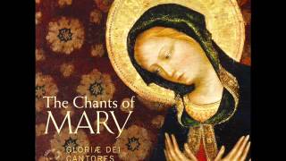 Gregorian Chant  Salve Regina Solemn tone from quotThe Chants of Maryquot [upl. by Anawit766]