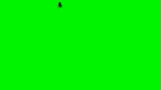 Fly Animation Green Screen  Free Royalty Footagemov [upl. by Asilanna]