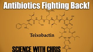 Teixobactin The Newest Antibiotic on the Block [upl. by Acebber]