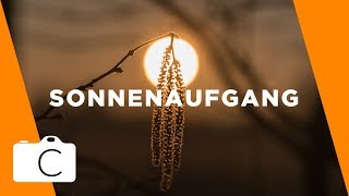 Achtest du beim SONNENAUFGANG FOTOGRAFIEREN darauf  Camera Studio [upl. by Rooney771]