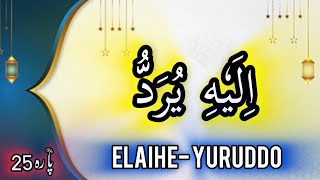 Elahe Yuruddo With Urdu Translation Beautiful Quran Qirat  PARA 2530  الیہ یرد [upl. by Wincer]