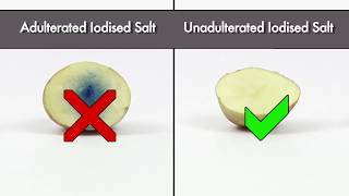 Testing Common Salt Adulteration in Iodized Salt  FSSAI [upl. by Seys]