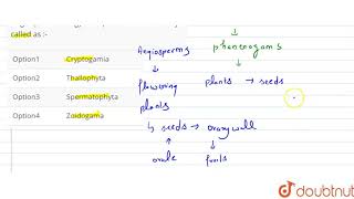 Angiosperms and gymnosperms are collectively called as [upl. by Ahsiea]