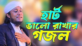 হার্ট ভালো রাখার গজল তাহেরি।GasUddin Taheri New Gojol [upl. by Shutz]