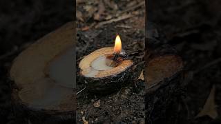 Making a deer tallow candle 🦌🕯 [upl. by Nocam]