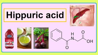 hippuric acid [upl. by Eltsirc]