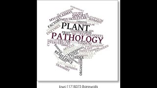 Causes of Plant diseases Virus viroid algal phanerogamic parasites abiotic disorders in Tamil [upl. by Blanch]