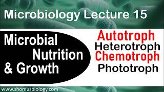 Microbial nutrition and growth and metabolism  Microbiology lecture [upl. by Cyn255]