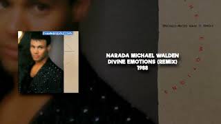 narada michael walden divine emotions club mix [upl. by Vi]