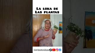 Cuando te gustan las plantas humor [upl. by Aikram]