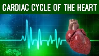 Cardiac Cycle and Conduction System of Heart Physiology Animation [upl. by Yorgo351]