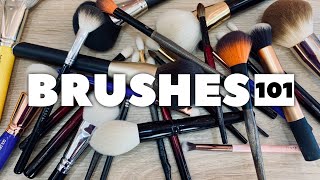 BRUSHES 101 Answering Your Questions [upl. by Clary]