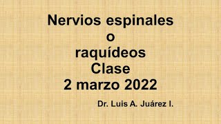 NERVIOS ESPINALES O RAQUÍDEOS CLASE 2 MARZO 2022 [upl. by Onairelav]