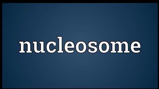 NUCLEOSOMESstructure of nucleosomesfunction of nucleosome [upl. by Lennaj]