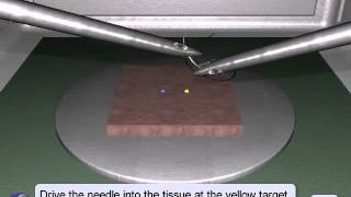 LapSim Suturing amp Anastomosis Stitch amp Square Knot [upl. by Odelinda]