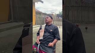 Obat hatiucoxbongax lucu batak shortvideoshorts [upl. by Basham]