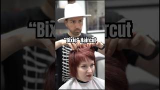 Bixie is a combination between a Bob amp a Pixie haircut haircuttutorial hairstylisteducation hair [upl. by Rosenthal]